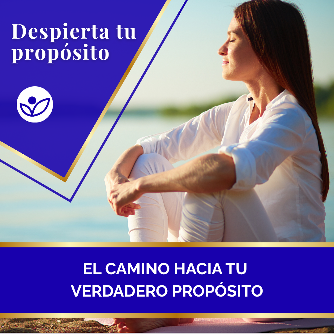 PROGRAMA MUJER 360 + COMUNIDAD + ACOMPAÑAMIENTO 💎